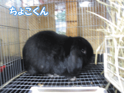 140812w.gif
