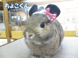 140815g.gif