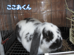 140815i.gif