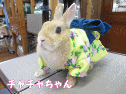 140816a1.gif