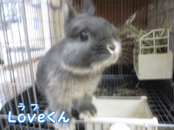 140816c1.gif