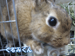 140816f1.gif