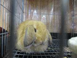 140816g2.gif