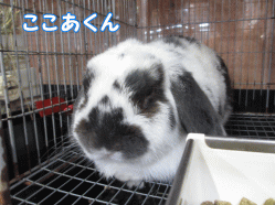 140816h1.gif