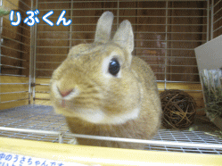 140816k1.gif