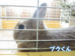 140816l1.gif
