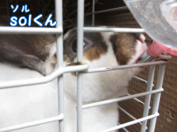 140816o1.gif