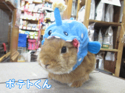 140817a1.gif