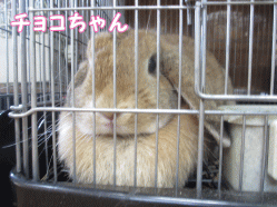 140817e1.gif