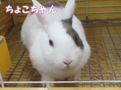 140817i1.gif