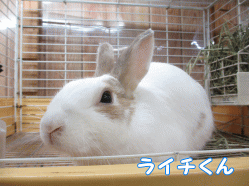 140817k1.gif