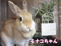 140817l1.gif