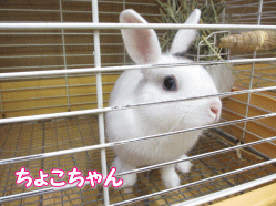 140818a.gif