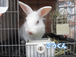 140818k.gif