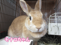 140818q.gif