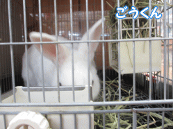 140819k.gif