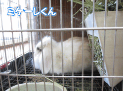 140819o.gif