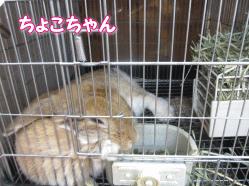 140819q.gif