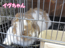 140819u.gif