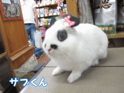 140821a1.gif