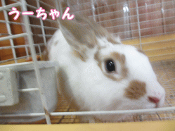 140821f1.gif