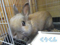 140821l1.gif