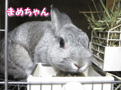 140822e.gif