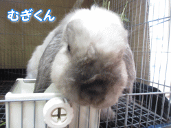 140822g.gif