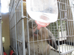 140822h.gif