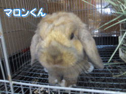 140822q.gif