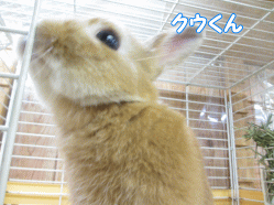 140822z.gif