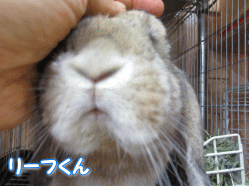 140822z2.gif