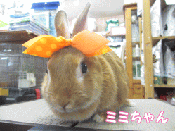 140823d1.gif