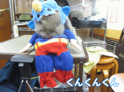 140823e1.gif