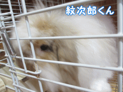 140823n1.gif
