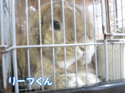 140823p1.gif