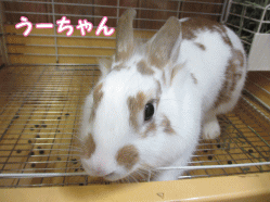 140823q1.gif