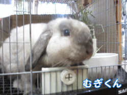 140824e1.gif