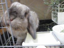 140824e2.gif