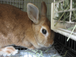 140824f2.gif