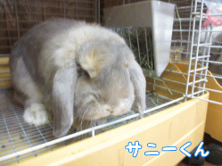 140824i1.gif