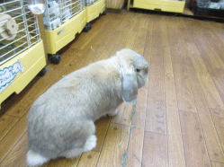 140824i2.gif