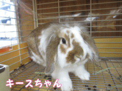 140824m1.gif