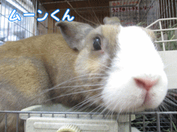 140824n1.gif