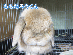140826k.gif