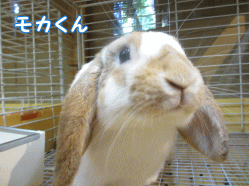 140828d1.gif