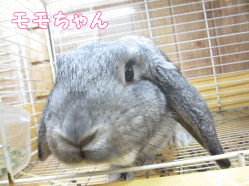 140828e1.gif