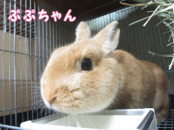 140828f1.gif