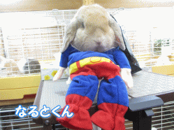 140829c.gif