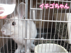 140829m.gif